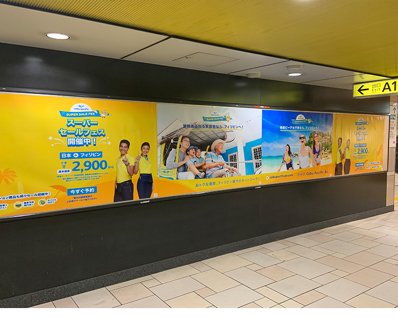 Cebu Pacific Air